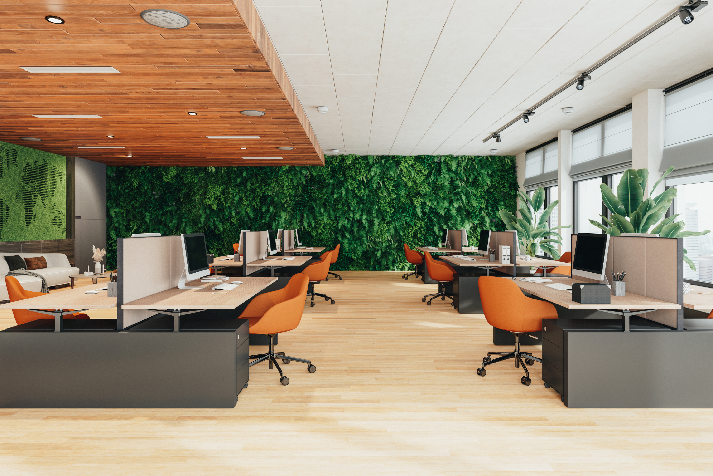 Achat des murs commerciaux : tout ce que vous devez savoir